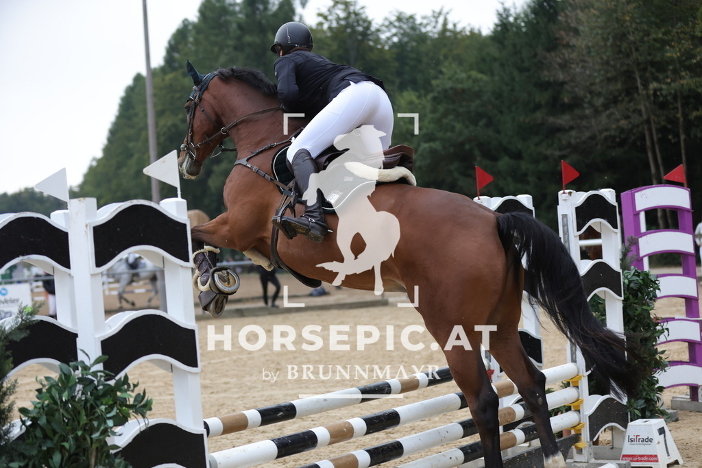 0P6A4907 | Willkommen bei Brunnmayr - Design & Fotografie – Ihrem Spezialisten für Reitturniere und Pferdeveranstaltungen in Oberösterreich, Salzburg und Bayern! Seit über 17 Jahren sind wir leidenschaftlich dabei.