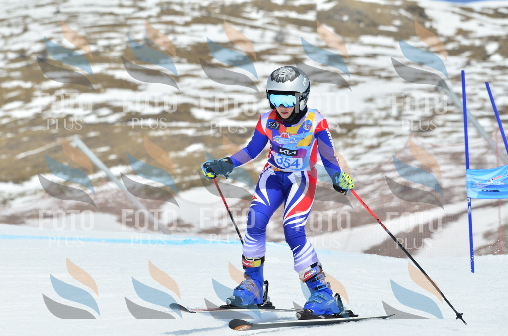 _ELE2728 | holidayphoto