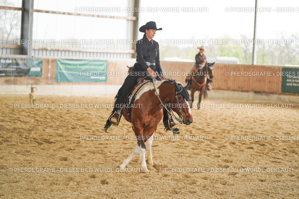 DSC04351 | Pferdegrafie