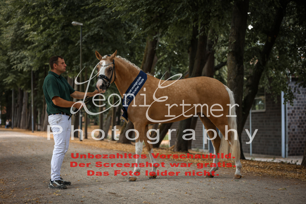 SoER00139 | Leoni Ertmer Photography - Realisiert mit Pictrs.com