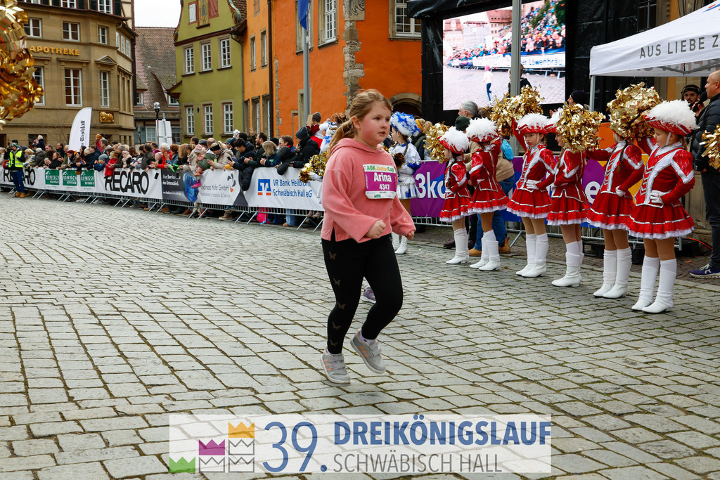 39. 3Koenigslauf 2025 | 20250106_3koenigslauf - Realisiert mit Pictrs.com