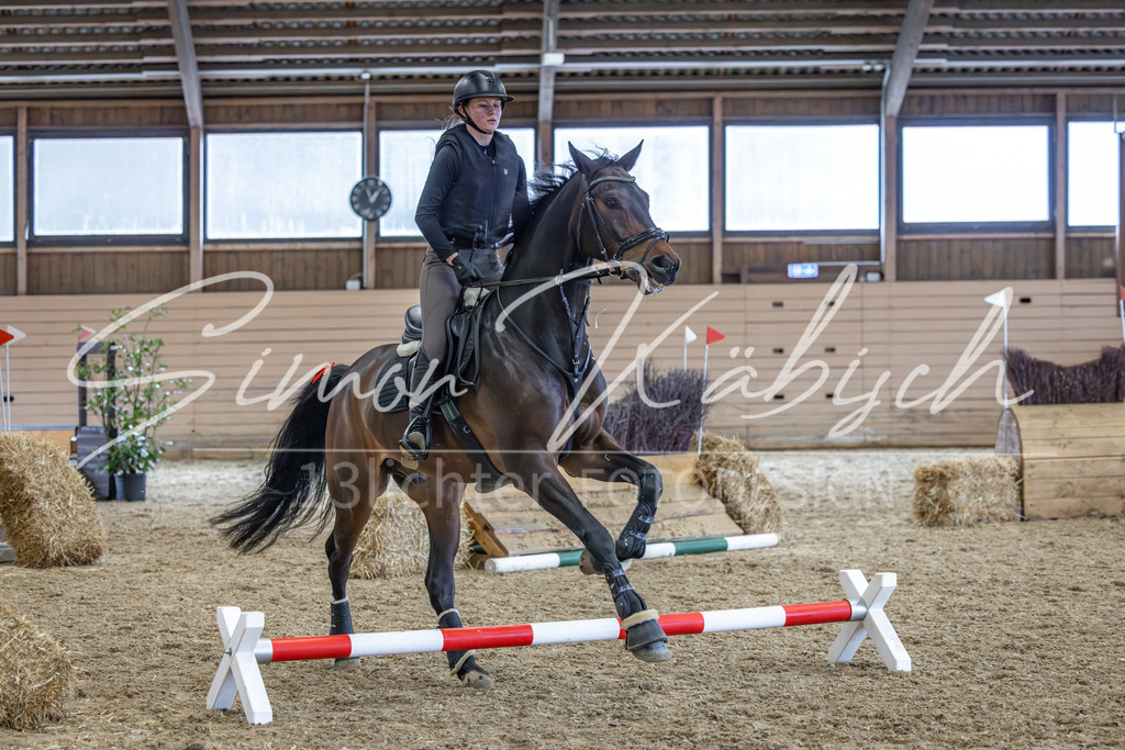 20260222-_3LI1877 | Tierfotografie Pferde, Hunde, Katzen, Haustiere.
Turnierfotografie Reitturniere, Reiten, Springreiten, Dressur in Hanau, dem Main-Kinzig-Kreis und dem Rhein-Main- Gebiet um Frankfurt