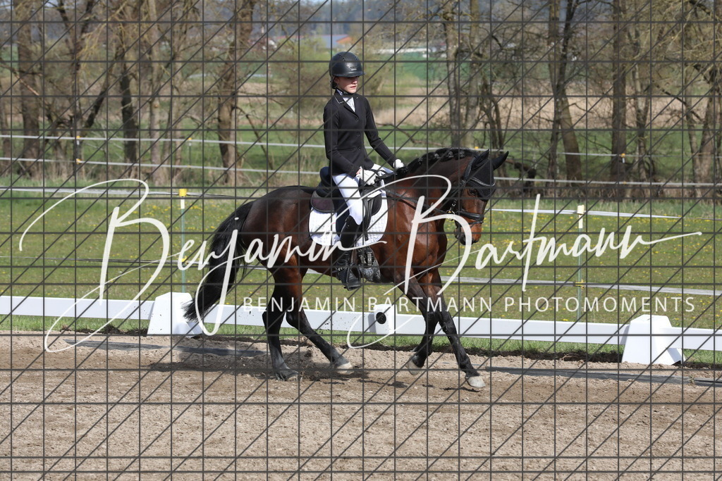 AZ2A2933 | Benjamin Bartmann Photomoments