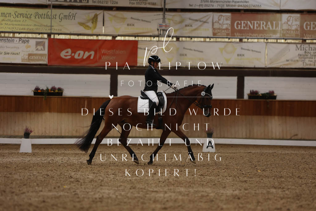 IMGM6710 | pl-fotografie