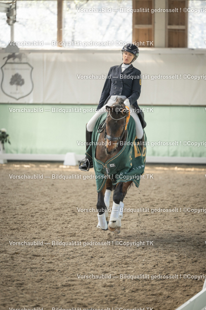 _D5A2522 | Emotionale Pferde- & People-Fotografie rund um Heidelberg, Leimen & Umgebung. Natürliche Fotos von Pferd, Mensch & Familie. Jetzt Termin sichern!