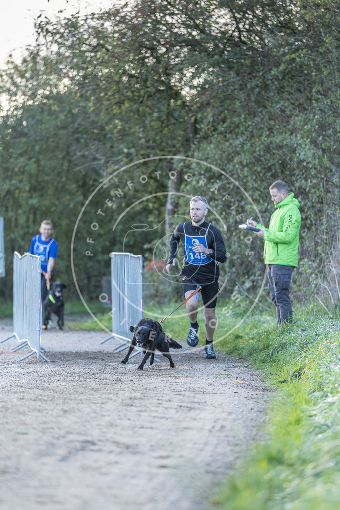 Pfotenfotografie.de_DV3A2824 | Hundefotografie, Tierfotograf, Pfotenfotografie, Fotoshooting Hund, Hunde Portrait, Hundesport, Hundeportraits, Heideshooting, Hunde, Sportfotograf, Hundefotograf, Turnierhundsport, THS, canicross - Realisiert mit Pictrs.com