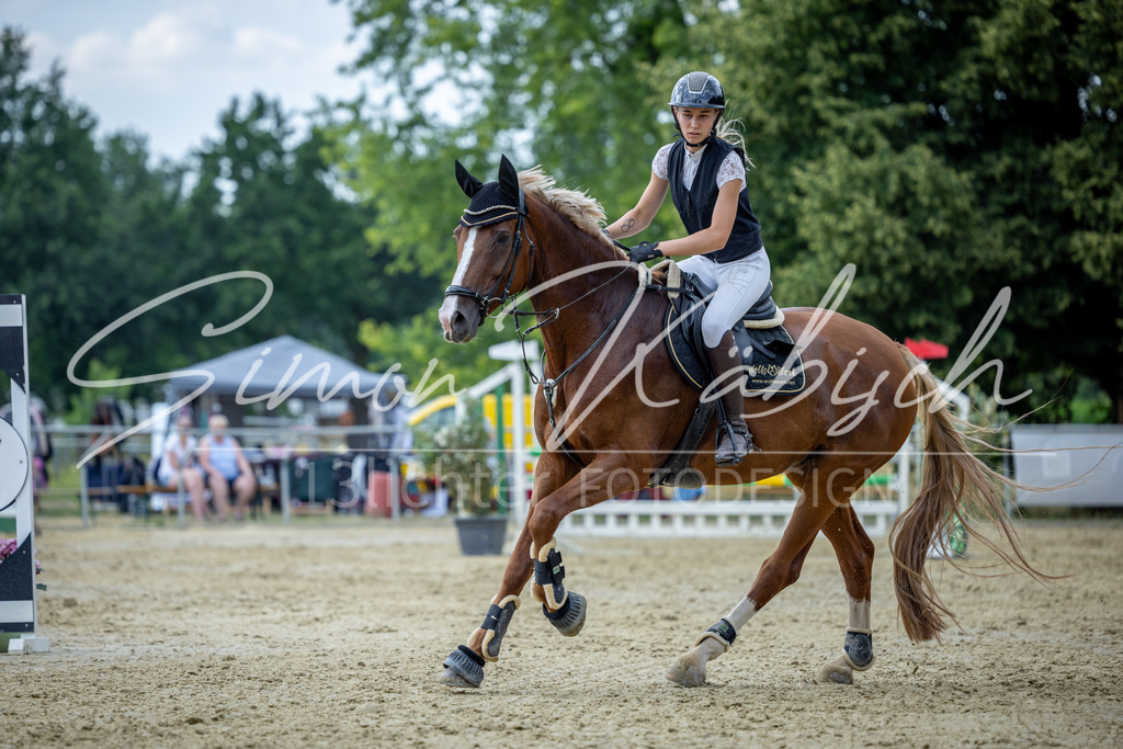 20260704-_3LI1685 | Tierfotografie Pferde, Hunde, Katzen, Haustiere.
Turnierfotografie Reitturniere, Reiten, Springreiten, Dressur in Hanau, dem Main-Kinzig-Kreis und dem Rhein-Main- Gebiet um Frankfurt