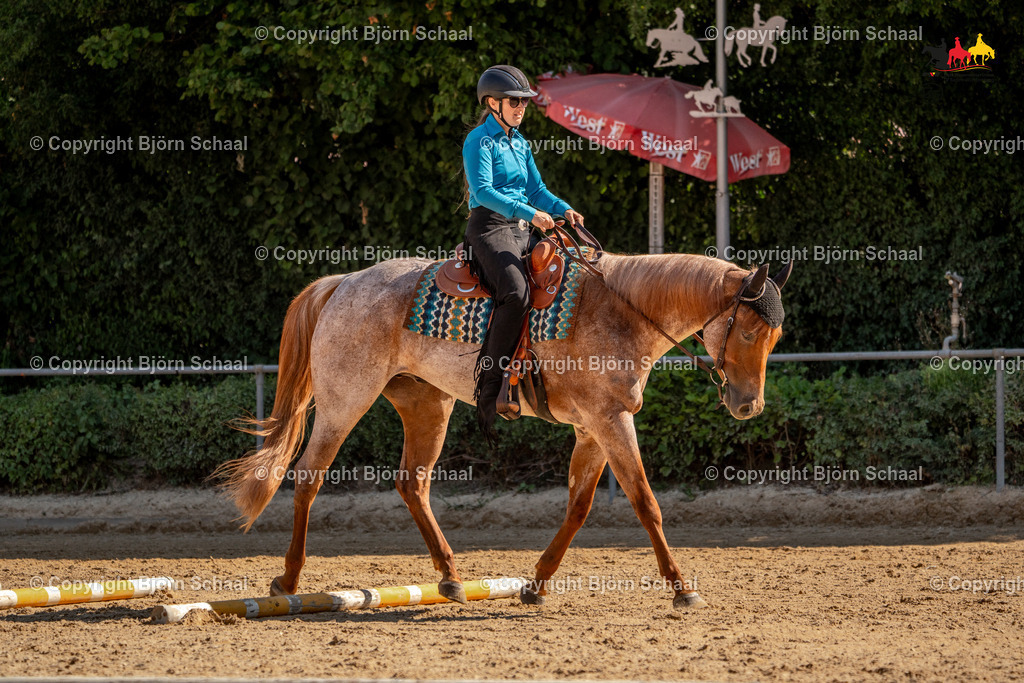 LMS05051 | BS-foto