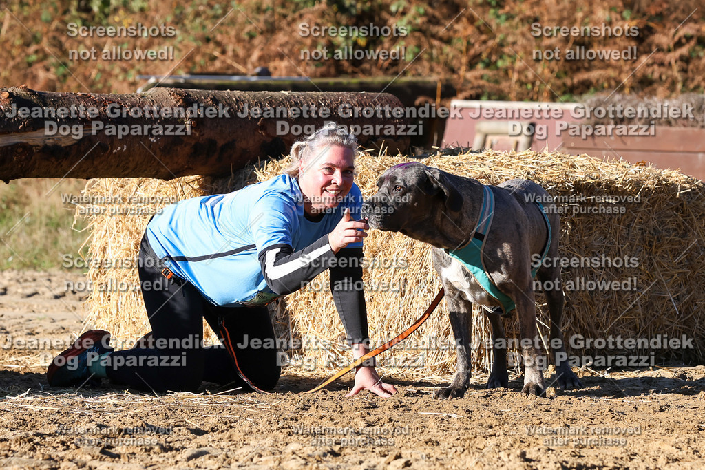 Dog Paparazzi - Strongdog 10-25-1616 | Dog Paparazzi Jeanette Grottendiek Fotografie & Videografie - Realisiert mit Pictrs.com