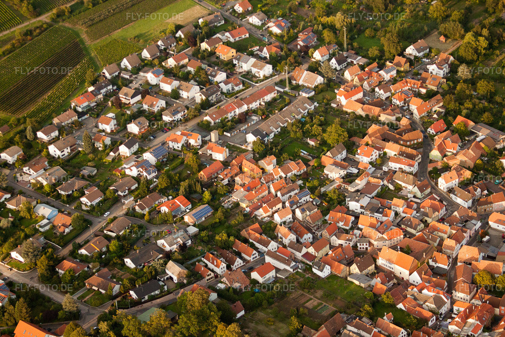 Luftbild: Godramstein, Rebsortenviertel im Ortsteil Godramstein in Landau im Bundesland Rheinland-Pfalz in Deutschland. Foto: IMG_32993.jpg vom 03.09.2010 durch Werner Riehm/FLY-FOTO.de