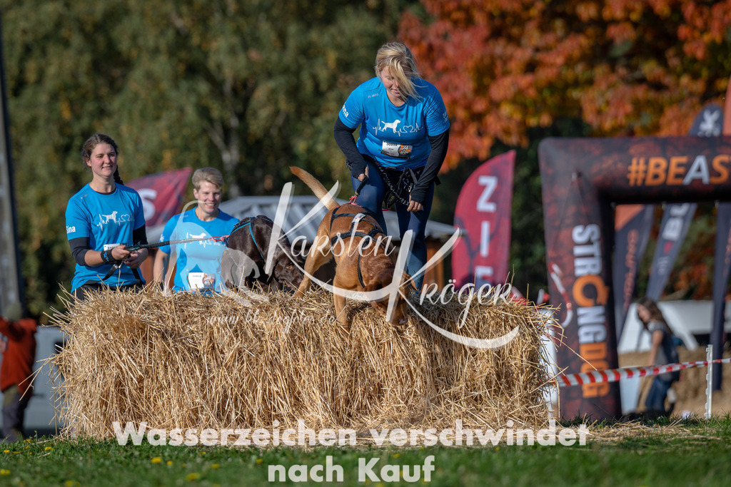 1049_ZZ91576 | kk-dogfotos