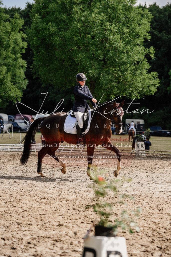 DSC_0077 | Pferde- und Turnierfotografie in Westsachsen. Pferdeportraits, Auftragszeichnungen und intuitive Kunst.