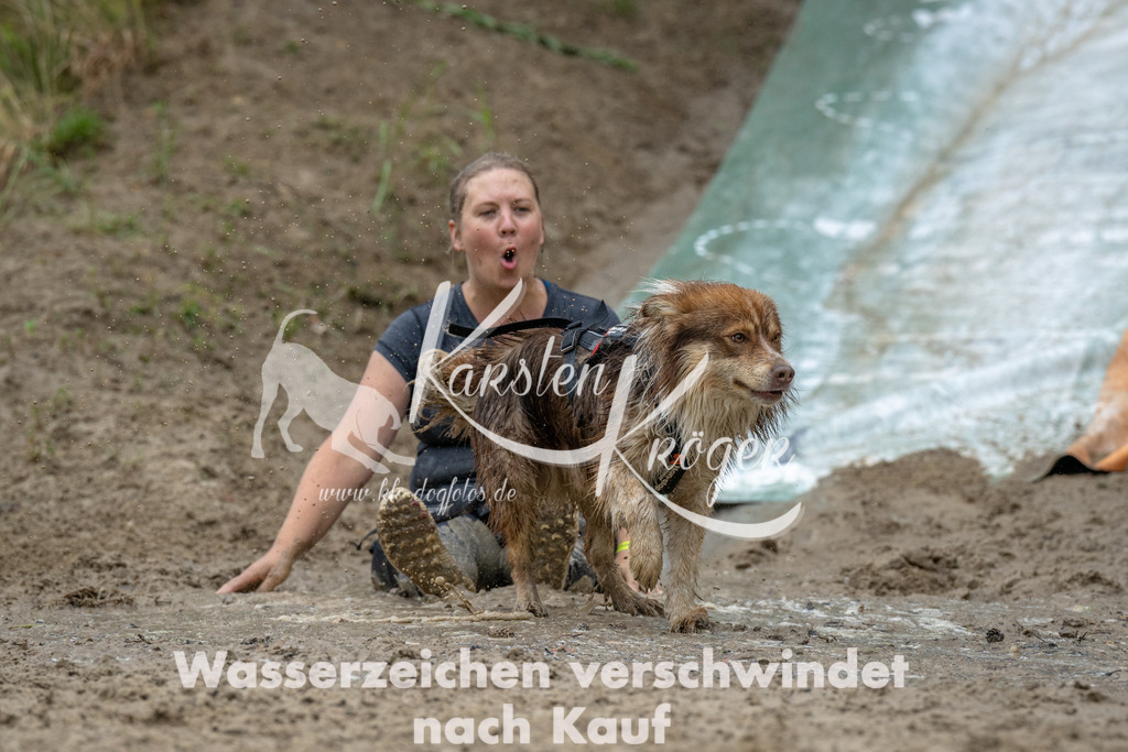 1401_ZZ90575 | kk-dogfotos