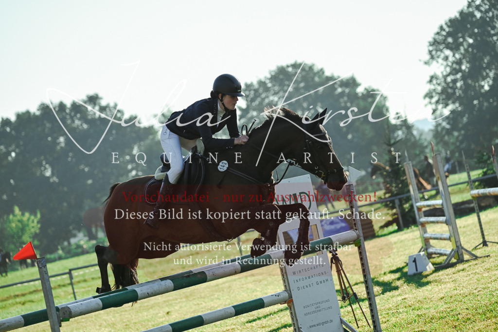 DSC_3984 | Pferde- und Turnierfotografie in Westsachsen. Pferdeportraits, Auftragszeichnungen und intuitive Kunst.