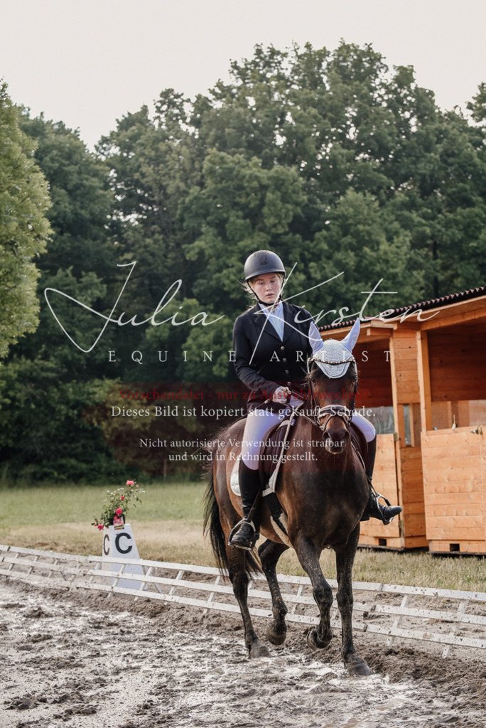 DSC_8140 | Pferde- und Turnierfotografie in Westsachsen. Pferdeportraits, Auftragszeichnungen und intuitive Kunst.