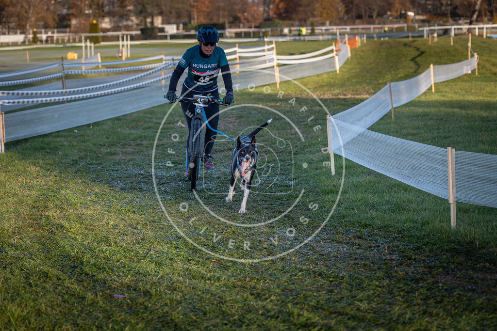 CaniXpix_0L8A2542 | Hundefotografie, Tierfotograf, Pfotenfotografie, Fotoshooting Hund, Hunde Portrait, Hundesport, Hundeportraits, Heideshooting, Hunde, Sportfotograf, Hundefotograf, Turnierhundsport, THS,  - Realisiert mit Pictrs.com