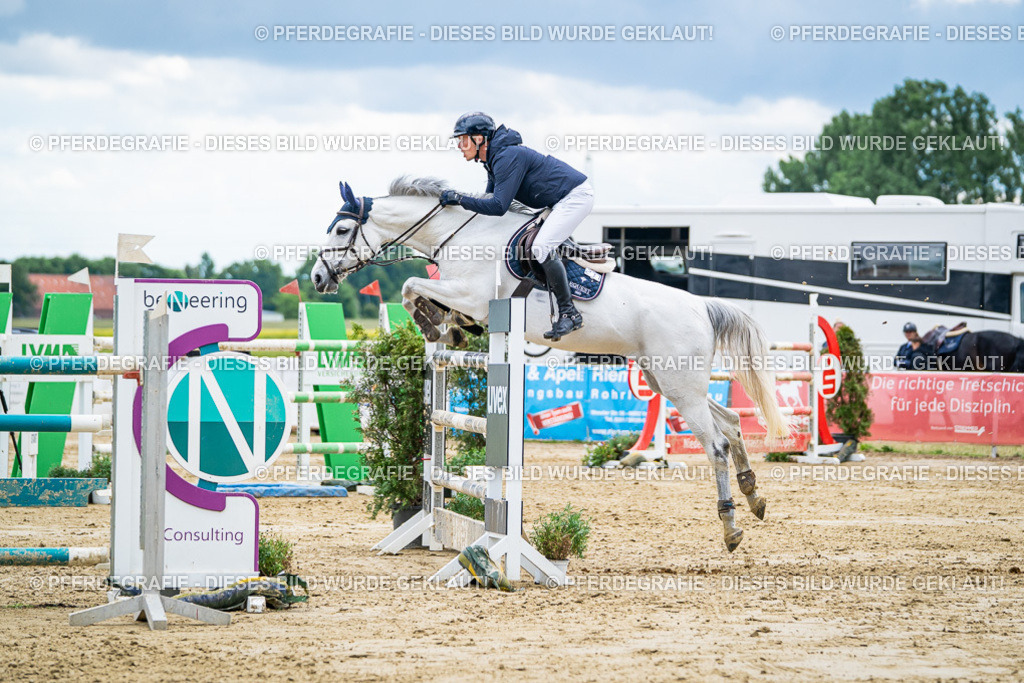 DSC05997 | Pferdegrafie