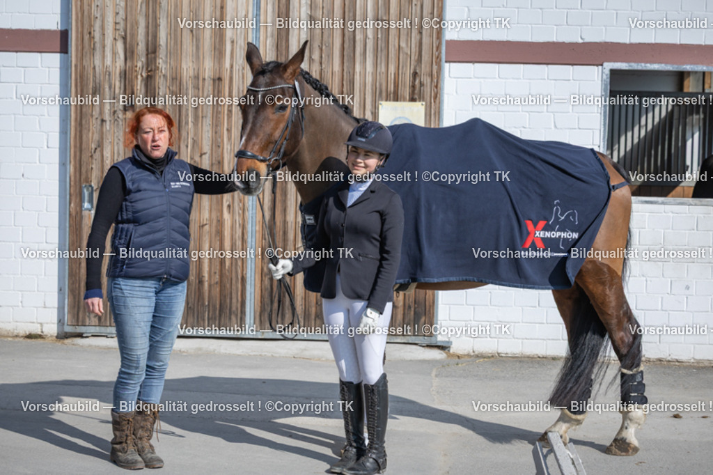 _D5A8665 | Emotionale Pferde- & People-Fotografie rund um Heidelberg, Leimen & Umgebung. Natürliche Fotos von Pferd, Mensch & Familie. Jetzt Termin sichern!