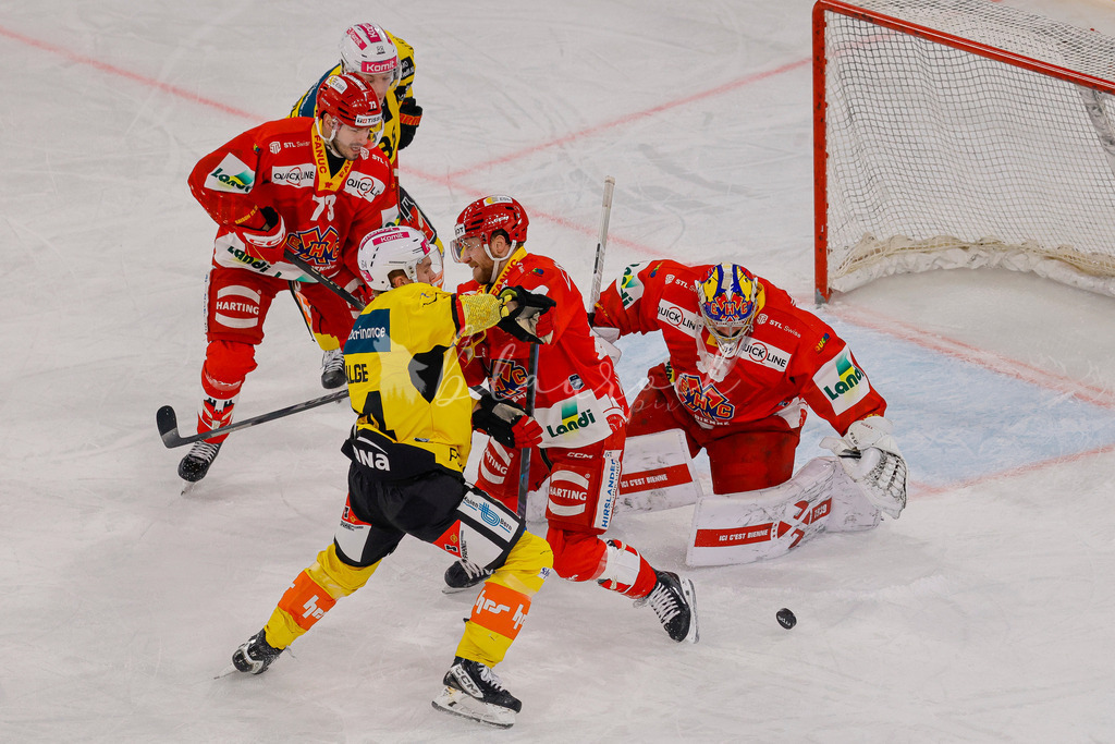 EHCB vs SCB 20260110_wb-2984 | Sportbilder, Sportfotograf, Hochzeits- und Eventfotografin, Flugshows, Portraits und Tiershooting, Aviation, Downhill, Nationalleague, Swissleague, International