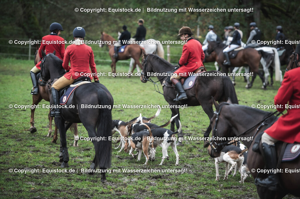 20241013_Jagd-Marbach_0134 | Foto: Thomas Hartig