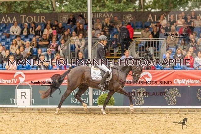 28-8-26 5j DRE-1160 | mandyhollmannphotographie