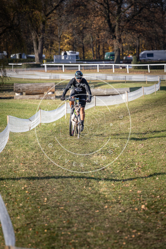 CaniXpix_DV3A2826 | Hundefotografie, Tierfotograf, Pfotenfotografie, Fotoshooting Hund, Hunde Portrait, Hundesport, Hundeportraits, Heideshooting, Hunde, Sportfotograf, Hundefotograf, Turnierhundsport, THS,  - Realisiert mit Pictrs.com