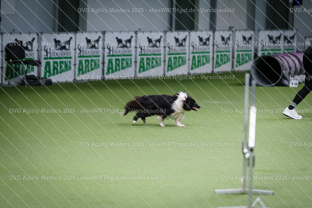 allesWIRTHgut_Tierfotografie-DVG_Agility_Masters_2026-09_38-7R509545 | Professionelle Tierfotografie in Mönchengladbach von Daniel Wirth (allesWIRTHgut). Liebevolle & natürliche Bilder von Hunden & Katzen für unvergessliche Erinnerungen.