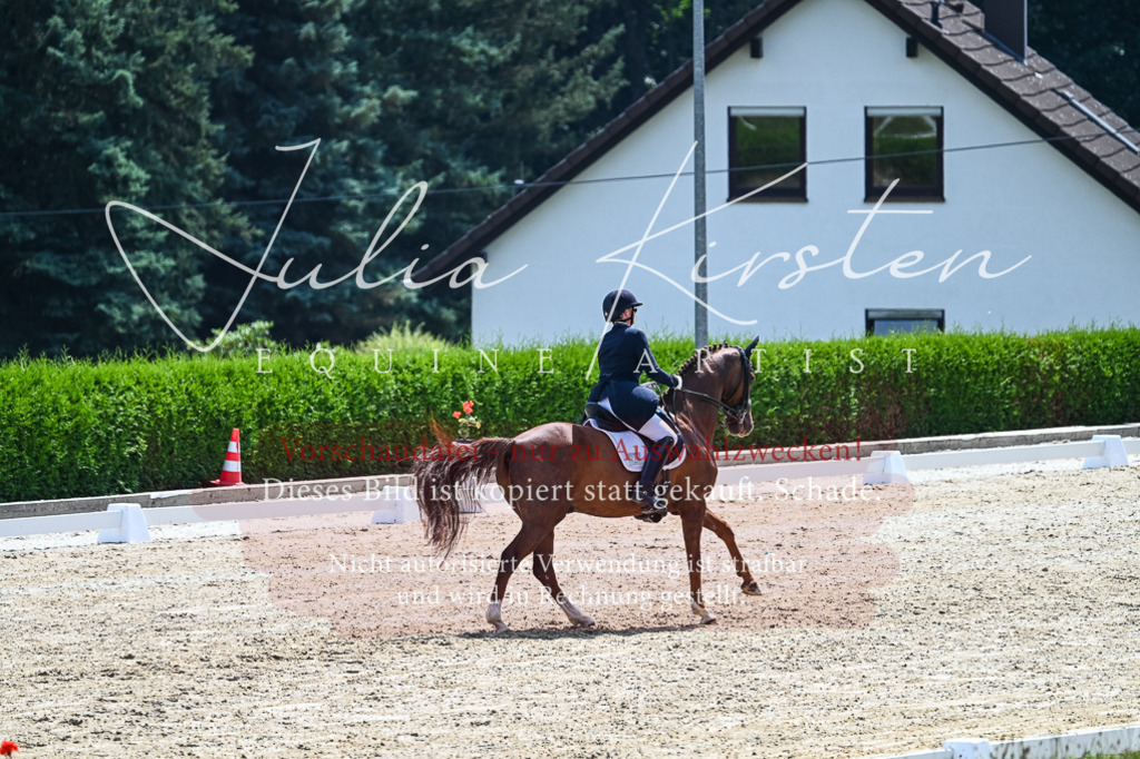 DSC_2767 | Pferde- und Turnierfotografie in Westsachsen. Pferdeportraits, Auftragszeichnungen und intuitive Kunst.