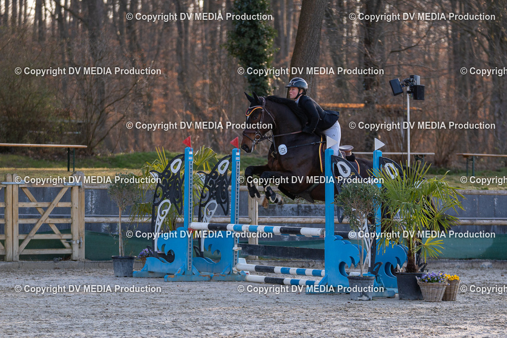 DSC-220 | dv-media-shop - Realisiert mit Pictrs.com