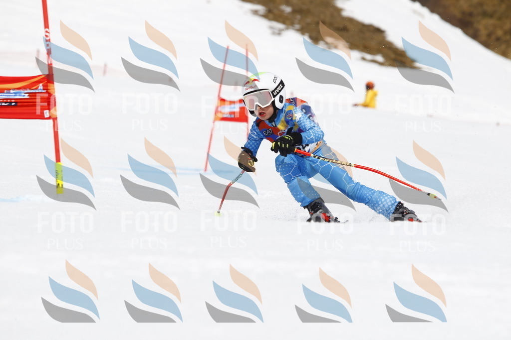 _U3G6174 | holidayphoto