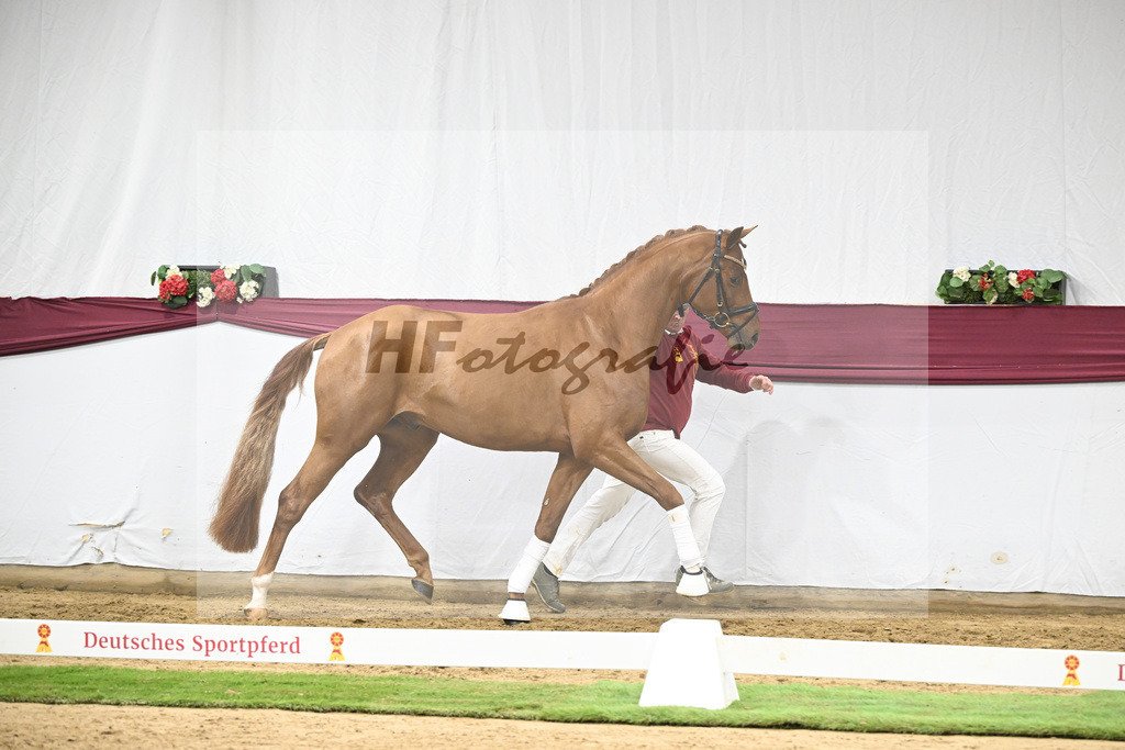 Kat-Nr. 133 Von Und Zu x Locksley III_Sabine Lehner_47254495 | hf-fotografie - Realisiert mit Pictrs.com