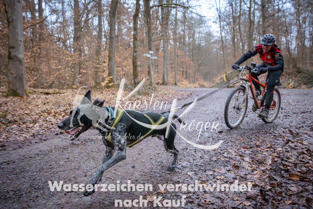 0823_ZZ94525 | kk-dogfotos