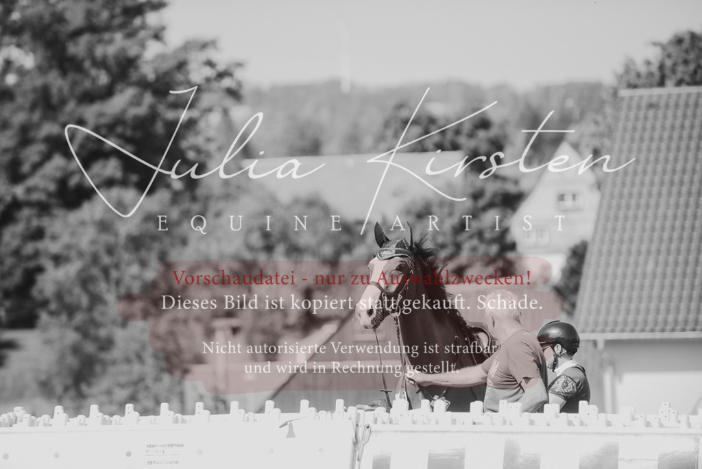 DSC_2840 | Pferde- und Turnierfotografie in Westsachsen. Pferdeportraits, Auftragszeichnungen und intuitive Kunst.