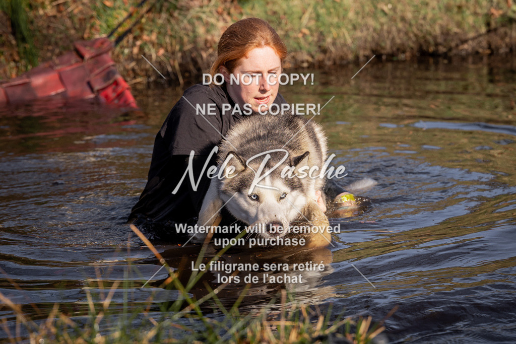 nelerasche_FS0900-1000_159 | nelerasche
