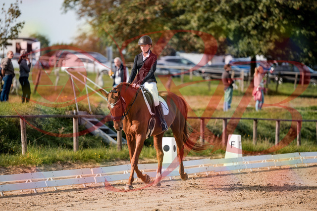 2026_10_03_Siefer-Hof_114217_Z63_23734629 | Professionelle Reitsport-, Turnier- und Eventfotografie von Robert Broda. Galerien mit ausgewählten und bearbeiteten Bildern direkt online ansehen und bestellen.