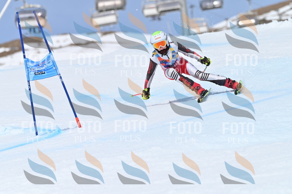 BGV_2946 | holidayphoto