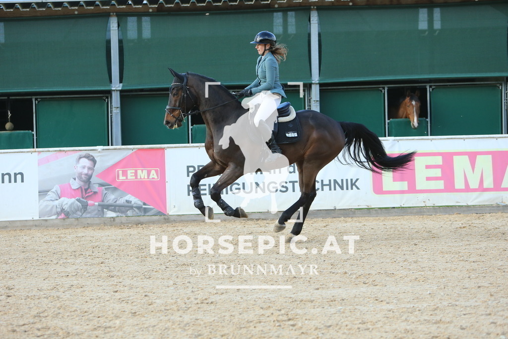 DL2Q0832 | Willkommen bei Brunnmayr - Design & Fotografie – Ihrem Spezialisten für Reitturniere und Pferdeveranstaltungen in Oberösterreich, Salzburg und Bayern! Seit über 17 Jahren sind wir leidenschaftlich dabei.