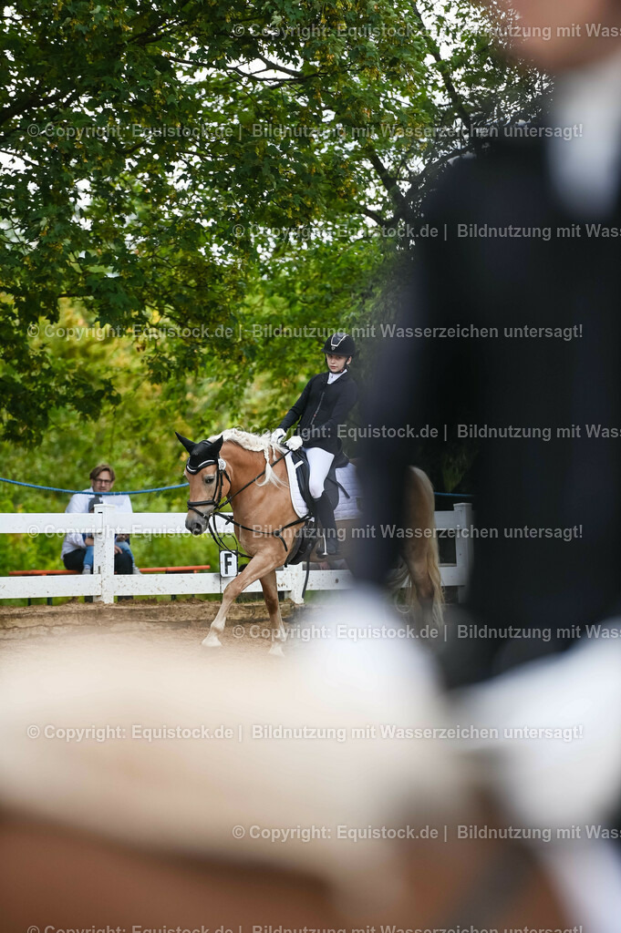 20230716_10-1_Reiter-WB Schritt - Trab - Galopp_0217 | equistock