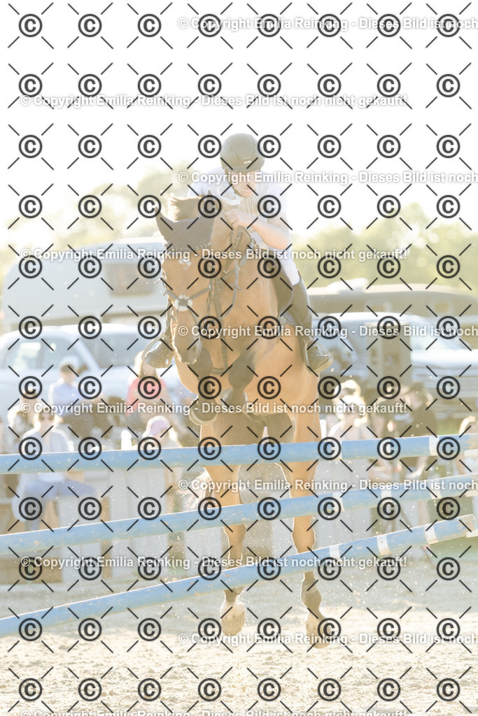CL5A4251 | Emilia Reinking Fotografie - Realisiert mit Pictrs.com