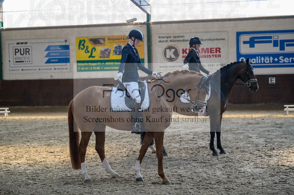 Reitturnier Voxtrup | Entdecke hochwertige Reitturnierfotos von Foto Oger. Professionell, emotional und authentisch – jetzt Lieblingsmomente im Shop bestellen.Deutschlandweite Turnierfotografie. - Realisiert mit Pictrs.com