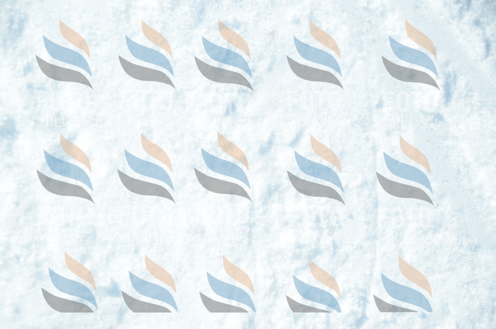 C6192 | holidayphoto