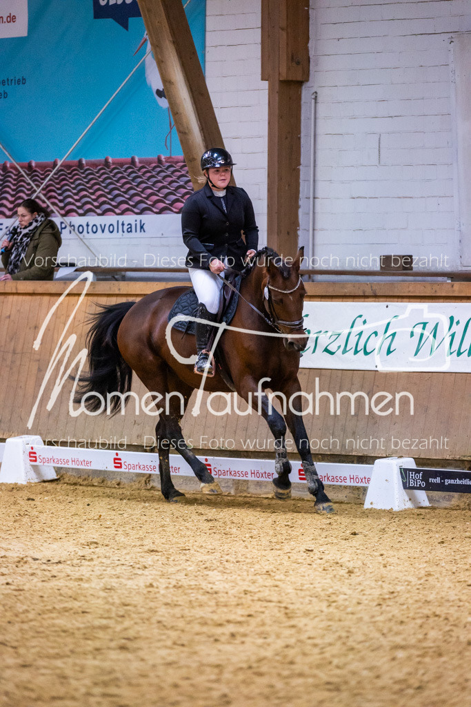 Sth-KombDreSpr-136 | MomenTaufnahmen Pferdesportfotos