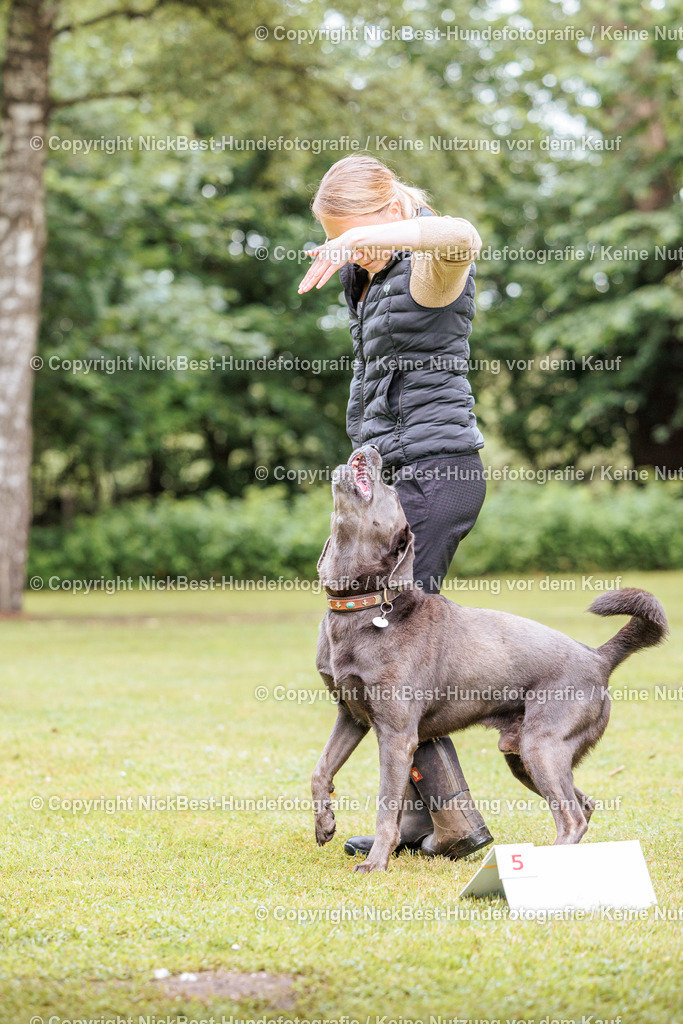 RO-Blumenthal-2026-Nickbest-Hundefotografie-1032 | Dein Hund! Dein Moment! Deine Erinnerungen! Hundefotografie in Bremen Blumenthal. Ich fange die besonderen Momente deines Vierbeiners ein – ob Indoor mit Blitzanlage oder in der freien Natur. Sicher dir dein Moment und dein Termin für eure Erinnerungen.