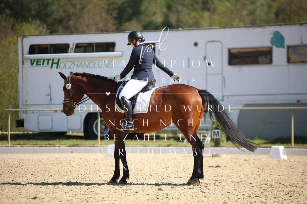 IMGT8045 | pl-fotografie