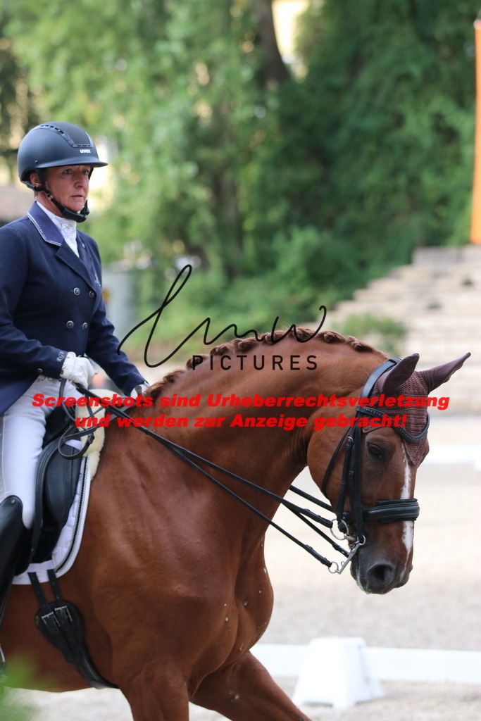 IMG_6042 | lmwpictures - Realisiert mit Pictrs.com