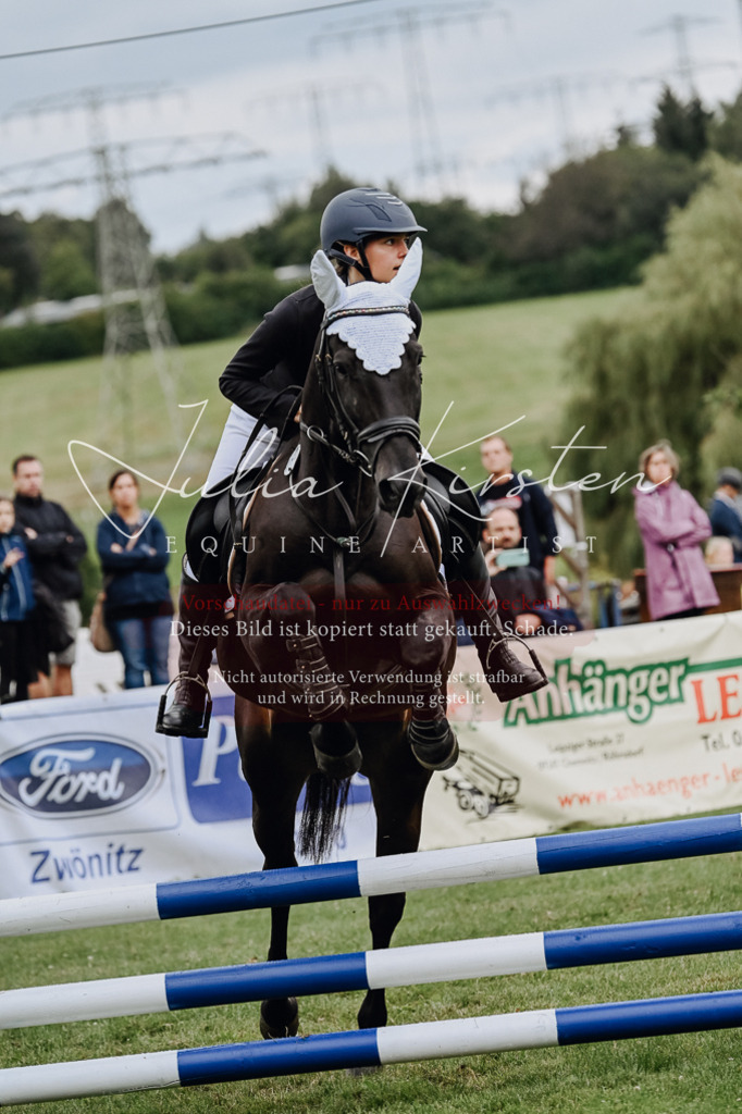 DSC_6802 | Pferde- und Turnierfotografie in Westsachsen. Pferdeportraits, Auftragszeichnungen und intuitive Kunst.