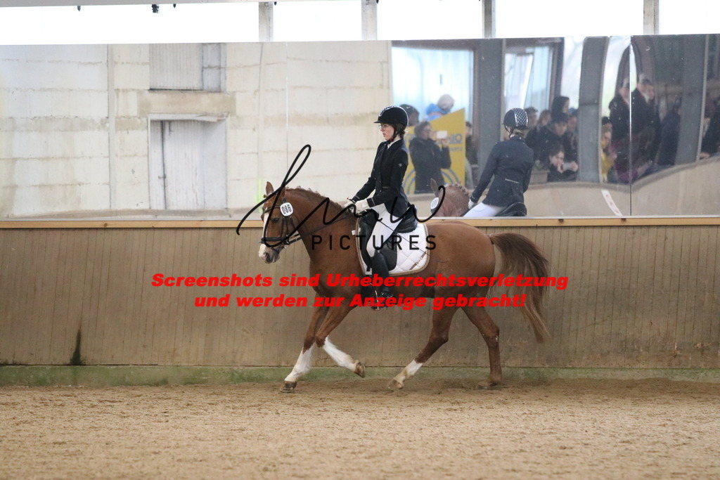 IMG_4286 | lmwpictures - Realisiert mit Pictrs.com