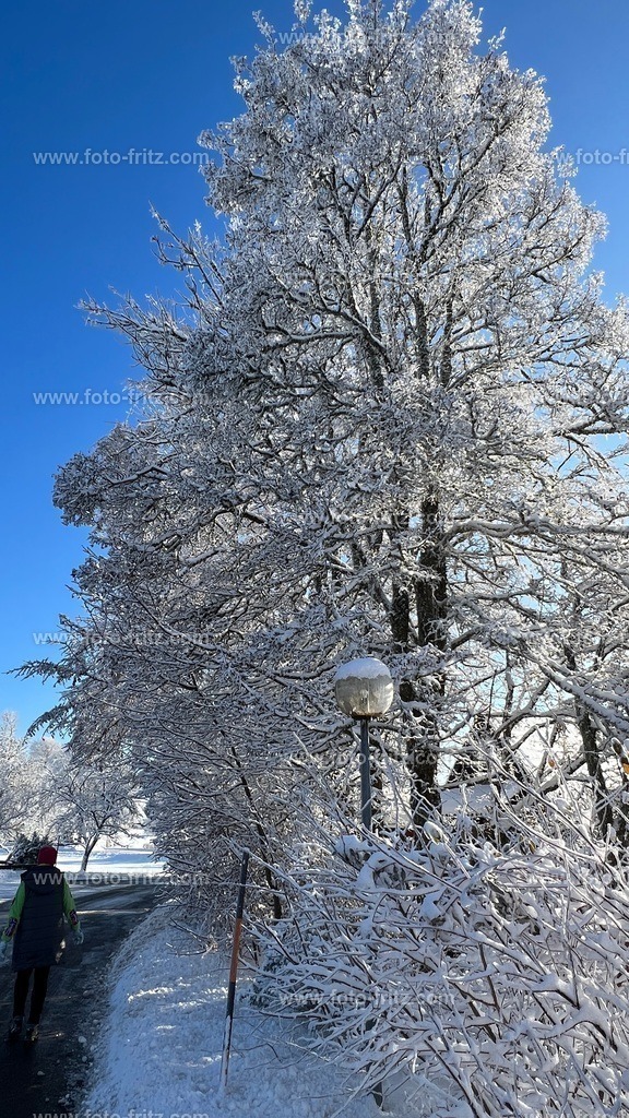 IMG_E6772 | www.foto-fritz.com - Realisiert mit Pictrs.com