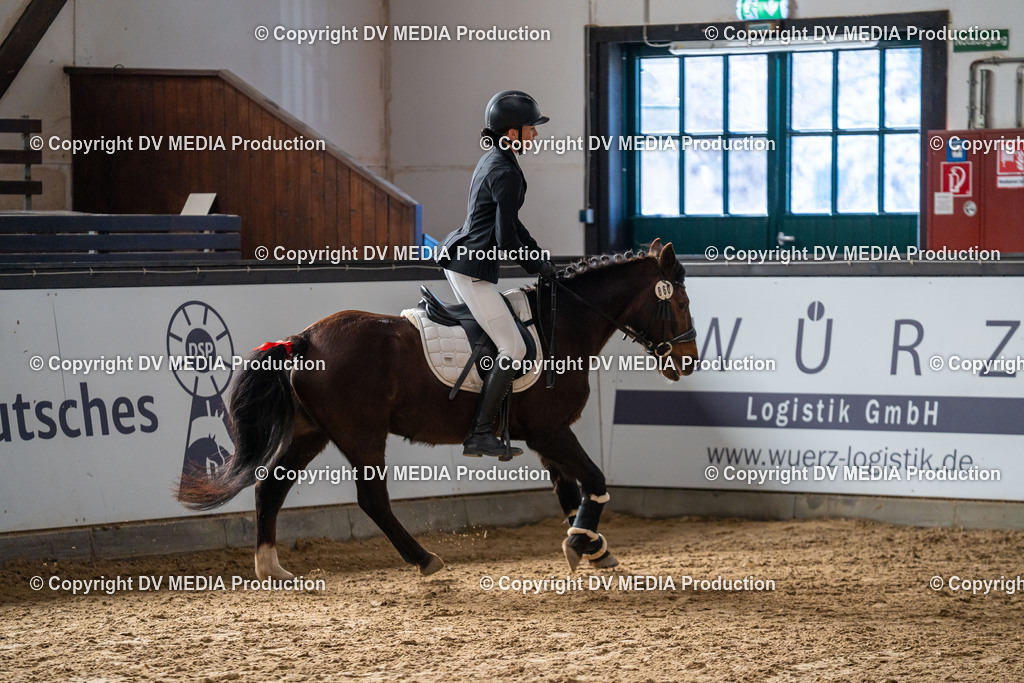 Kranichstein Tag 2-809 | dv-media-shop - Realisiert mit Pictrs.com