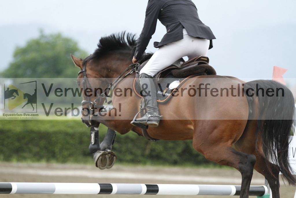 _MG_9649 | equestrian-live-com